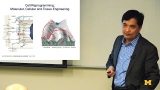 Song Li  Engineering Stem Cells [upl. by Fedirko]