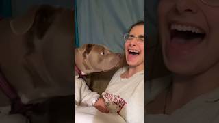 Dog Finds Out Owner Can SPEAK🤣 [upl. by Koetke998]