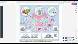 Akkermansia muciniphila  a key probiotic in the prevention of chronic disease [upl. by Attenod]