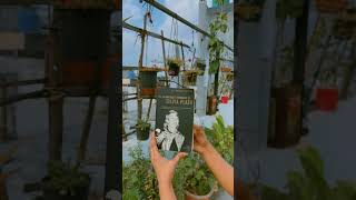 “THE UNABRIDGED JOURNAL OF SYLVIA PLATH“ bookreview booksuggestions studymotivation viralvideo [upl. by Caren]