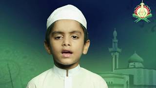 সূরা মুলক  নূর মুহাম্মদ আরাফাত  Markazul Huffaz AlIslamia Madrasa [upl. by Anirb]