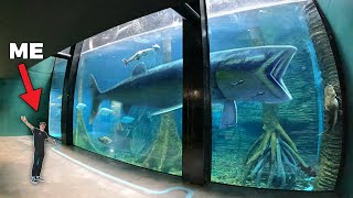 LARGEST AQUARIUM IN SOUTH AMERICA  Private Tour [upl. by Giffer5]