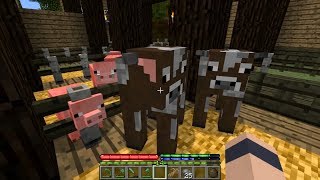 Minecraft TerraFirmaCraft 12 Deadly BBQ Sirloin [upl. by Drugge847]