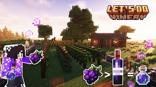 I made WINE in Minecraft  Mod Vinery Lets Do [upl. by Hibben]