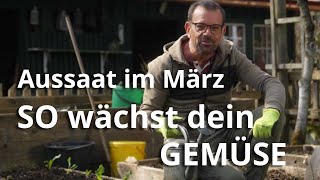 Aussaat im März  so wächst und gedeiht dein Gemüse [upl. by Jelsma]