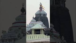 Puri temple flag changed every day for last 800  900 years 🙏 [upl. by Linus]