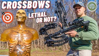 How Lethal Is A Crossbow  🏹 [upl. by Rosalind72]