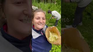 My daily asmr asmr slowlife chirping italymeet kiotoapparenza italian offgrid love italy [upl. by Thorstein]