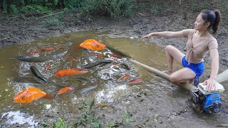 FULL VIDEO Hunting Wild Catch fish  Using pumps water outside the natural lake catch many fish [upl. by Mohammed]