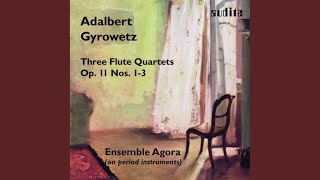 Flötenquartett No 1 in DDur Op 11 Allegro [upl. by Benyamin580]