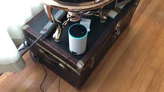 alexa intruder alert [upl. by Buzz]