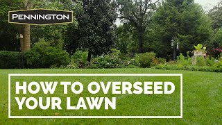 How to Overseed Your Lawn [upl. by Garek]