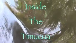 Indian documentary quotInside the Timucuaquot [upl. by Matheson436]