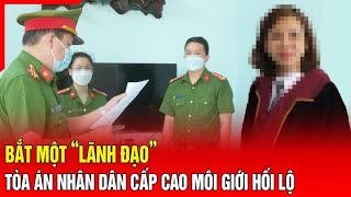 Điểm nóng Bắt một “lãnh đạo” thuộc TAND cấp cao môi giới hối lộ [upl. by Elwina]