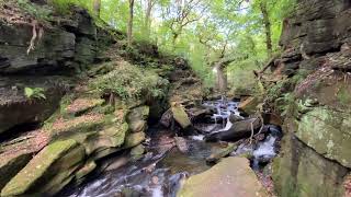 Rock Space Healey Dell [upl. by Dasya]