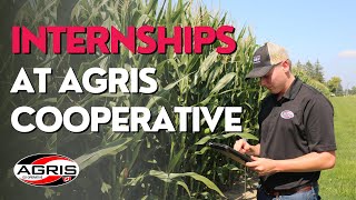 AGRIS Cooperative Internship Experience Cultivating Growth and Learning [upl. by Anaujal]