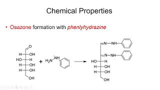 Carbohydrates Physical and Chemical Properties  Lecture 6b [upl. by Kaltman913]