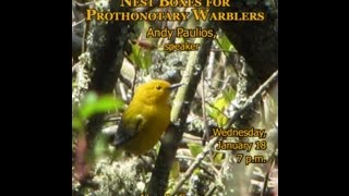 Managing Nest Boxes for Prothonotary Warblers by Andy Paulios [upl. by Enale]