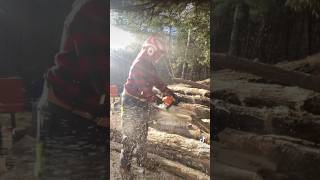 New Chainsaw Pants Pfanner Gladiator firewood pfannercanada stihl [upl. by Ahsiyk]