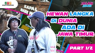 JALANJALAN  SERANGGA HINGGA RUSA JANTAN TERBESAR DI DUNIA ADA DI JATIM PARK 2 PART 1 [upl. by Suisyola]