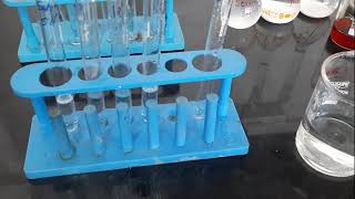 Effect of Substrate concentration on Salivary Amylase activity [upl. by Galliett]