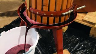 Home Winemaking From Grapes  Red Grape Wine and White Grape Wine  Demonstration and Tips [upl. by Lemkul97]