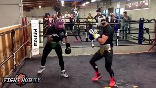 TJ Dillashaw vs Vasyl Lomachenko  BOTH GO AT IT IN MMA VS BOXING HEATED SPARRING [upl. by Mot927]