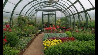 Gardening Under Glass An Introduction to Greenhouses [upl. by Bowe]