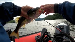 Parksville Lake Fishing [upl. by Ednyl102]