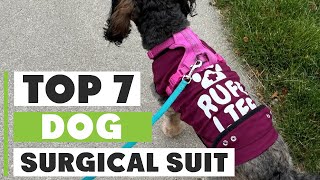 Ultimate Guide Choosing the Best Dog Surgical Suit [upl. by Watson]