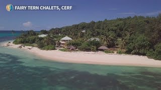 Fairy Tern Chalets Cerf Island Seychellen [upl. by Iadam]