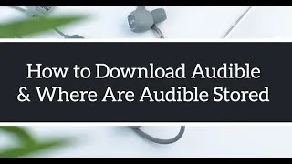 How to Download Audible BooksampWhere Are Audible Files Stored 2020 [upl. by Novla428]