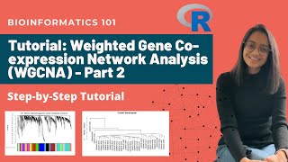 Weighted Gene Coexpression Network Analysis WGCNA Stepbystep Tutorial  Part 2 [upl. by Anerres727]