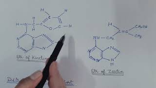 Kinetin and Cytokinin Plant Physiology [upl. by Bellamy]