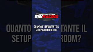 Quanto conta il Setup su RaceRoom racing simracing gamer raceroom [upl. by Eevets7]