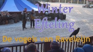 Winter Efteling  De vogels van Raveleijn [upl. by Laryssa]