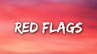 Mimi Webb  Red Flags Lyrics [upl. by Leasia]