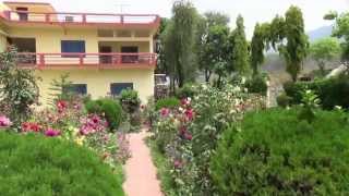 Sadhana Mandir Ashram Retreats [upl. by Mose]