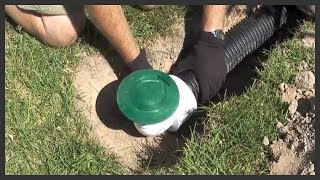 How to install a lawn popup drain [upl. by Ymeon]