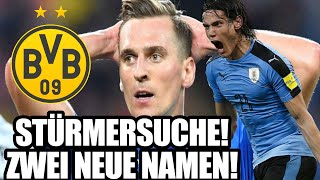 CAVANI amp MILIK 🟣 Die Neuen Namen bei der Stürmersuche von Borussia Dortmund Meine Einschätzung [upl. by Hameerak]