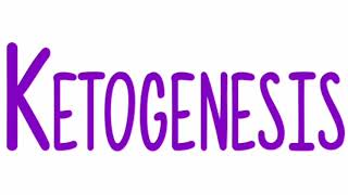 Ketogenesis  Definition Examples of ketone bodies amp classificationSite of synthesis amp Pathway [upl. by Ruel]