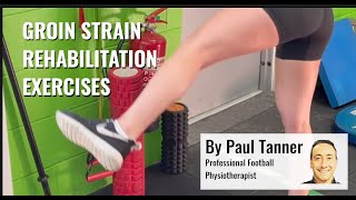 Groin Strain Strengthening Exercises [upl. by Malsi242]