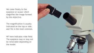 Simple Student Microscope Part 2 [upl. by Sisak]