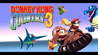 Donkey Kong Country 3 Dixie Kongs Double Trouble  Super Nintendo [upl. by Civ]