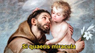 Si Quaeris Miracula  Responsório de Santo Antônio  Legendado LatimPortuguês [upl. by Aynotal792]