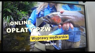 Zezwolenia PZW online krótkoterminowe opłaty za wędkowanie  FISHSTER 2020 [upl. by Maloy]