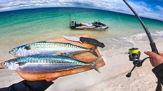 Pêcher et manger mon poisson sur une île paradisiaque isolée   Catch and Cook [upl. by Ecnal]