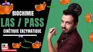 ENZYMOLOGIE  🧬Cinétique enzymatique ce quil faut maîtriser [upl. by Arataj]