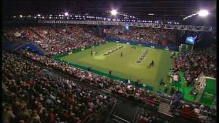 Flyball  Crufts 2007 Final [upl. by Brady]