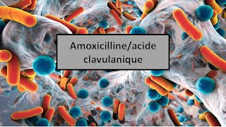 quotles médicaments génériques en Algérie quotAmoxicillineacide clavulanique [upl. by Ieso]